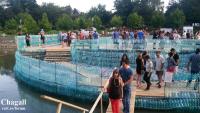 Imagine atasata: 20140724_202456.jpg